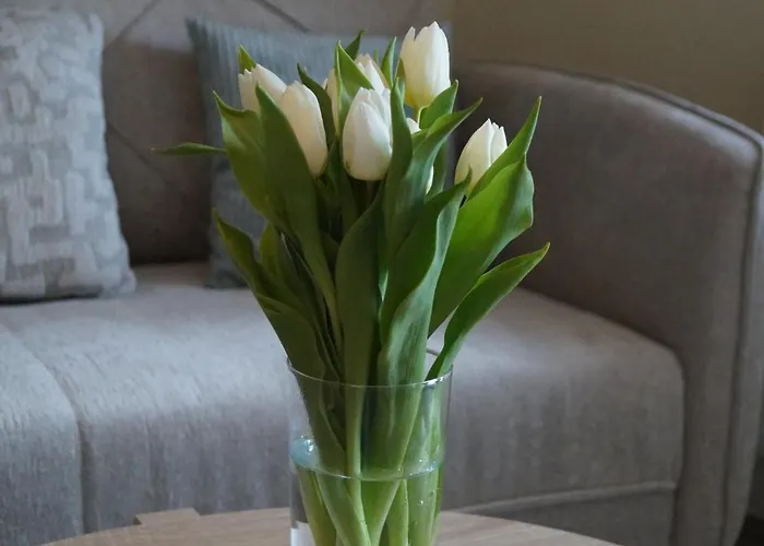 Augustinerhof Apartman